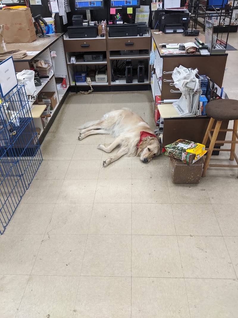 Lake Shore True Value Hardware